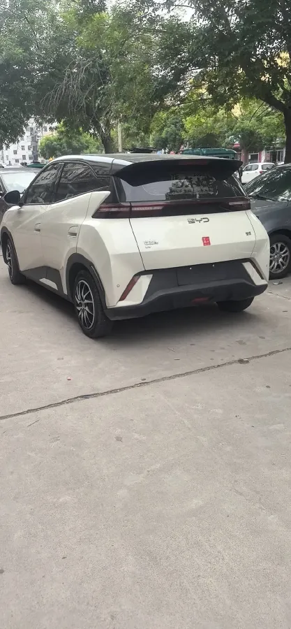 2025 BYD Seagull BEV 30.08KWH,autocango,china used car exporter,china ev exporter,chinese used car exporter,chinese used ev exporter