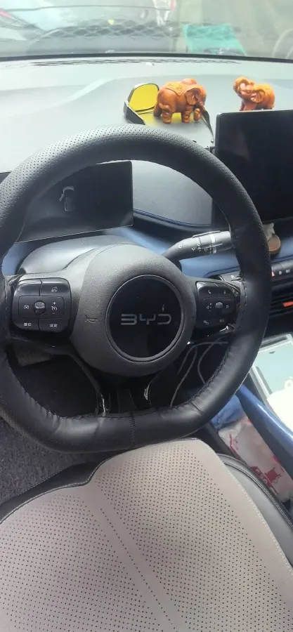 2025 BYD Seagull BEV 30.08KWH,autocango,china used car exporter,china ev exporter,chinese used car exporter,chinese used ev exporter