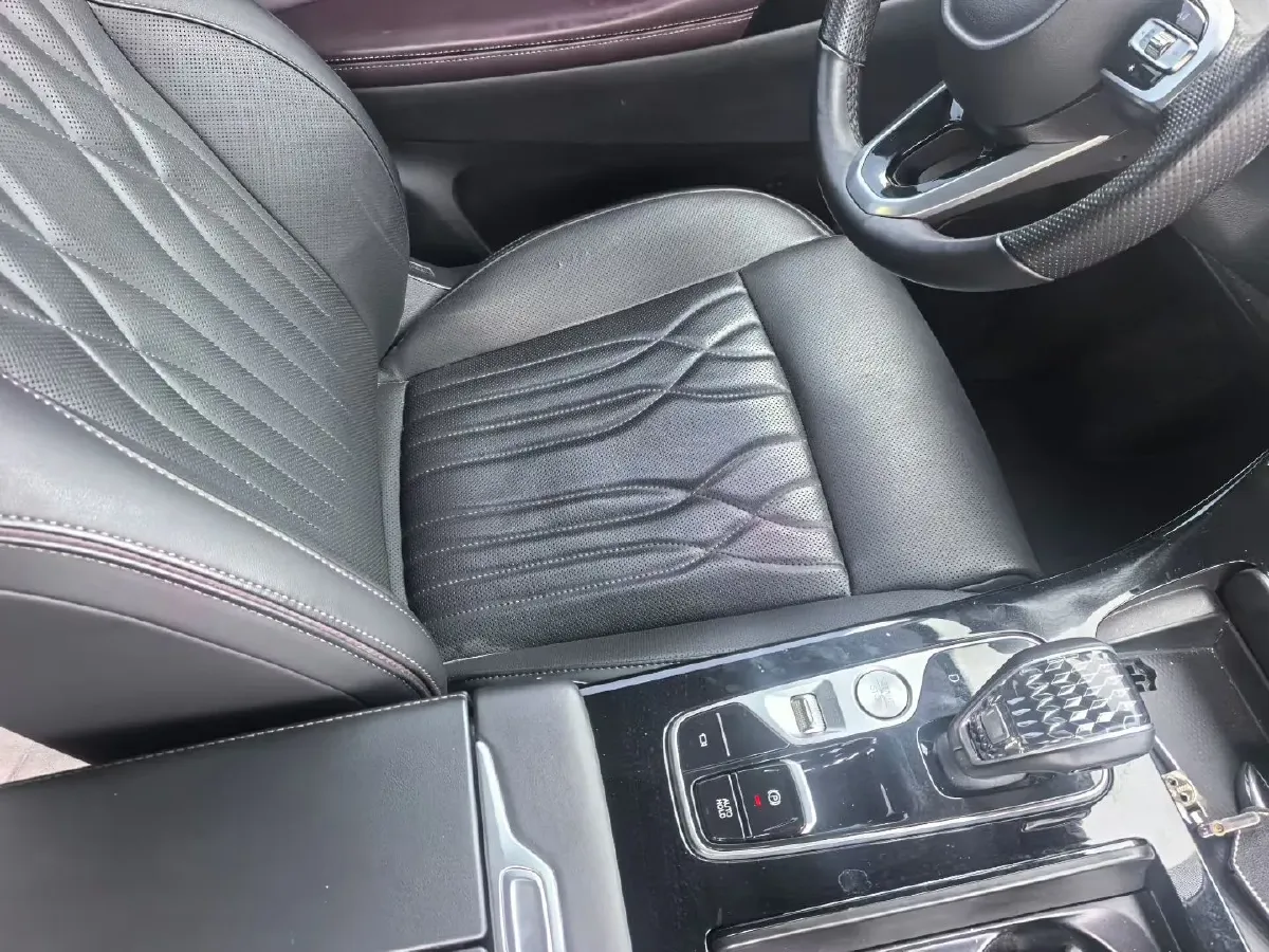 2024 GAC Trumpchi M8 2.0T 252HP L4 8AT,autocango,china used car exporter,china ev exporter,chinese used car exporter,chinese used ev exporter