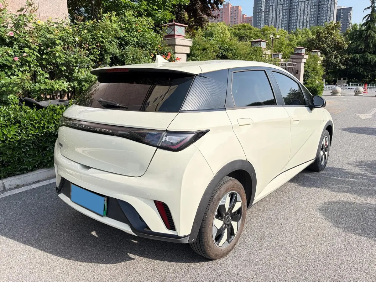 2025 BYD Dolphin BEV 44.928KWH,autocango,china used car exporter,china ev exporter,chinese used car exporter,chinese used ev exporter