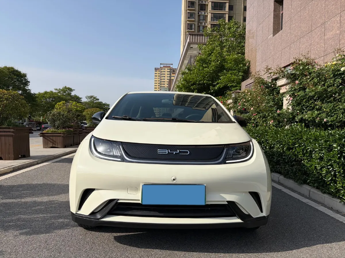2025 BYD Dolphin BEV 44.928KWH,autocango,china used car exporter,china ev exporter,chinese used car exporter,chinese used ev exporter