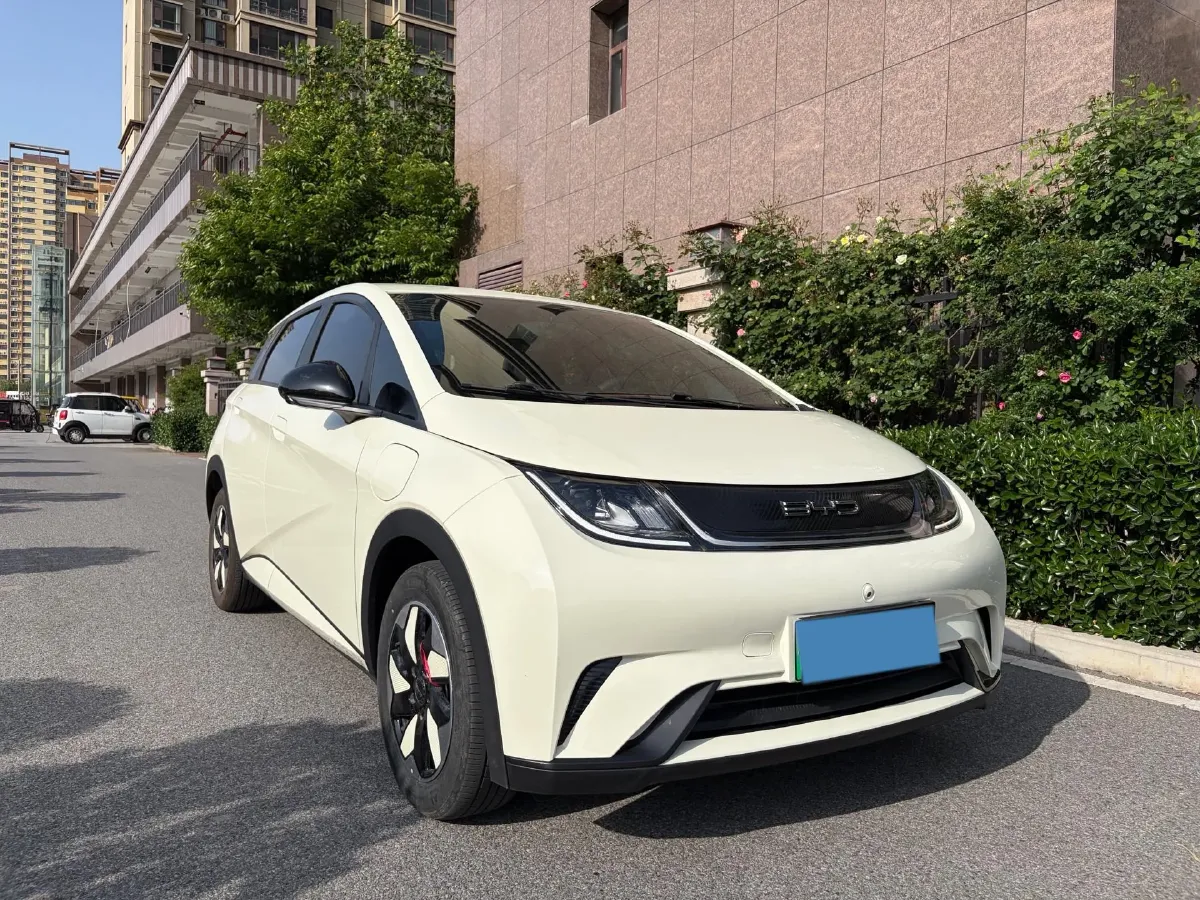 2025 BYD Dolphin BEV 44.928KWH,autocango,china used car exporter,china ev exporter,chinese used car exporter,chinese used ev exporter