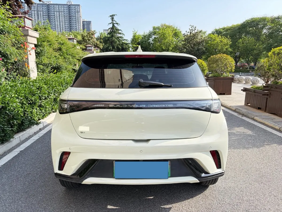 2025 BYD Dolphin BEV 44.928KWH,autocango,china used car exporter,china ev exporter,chinese used car exporter,chinese used ev exporter