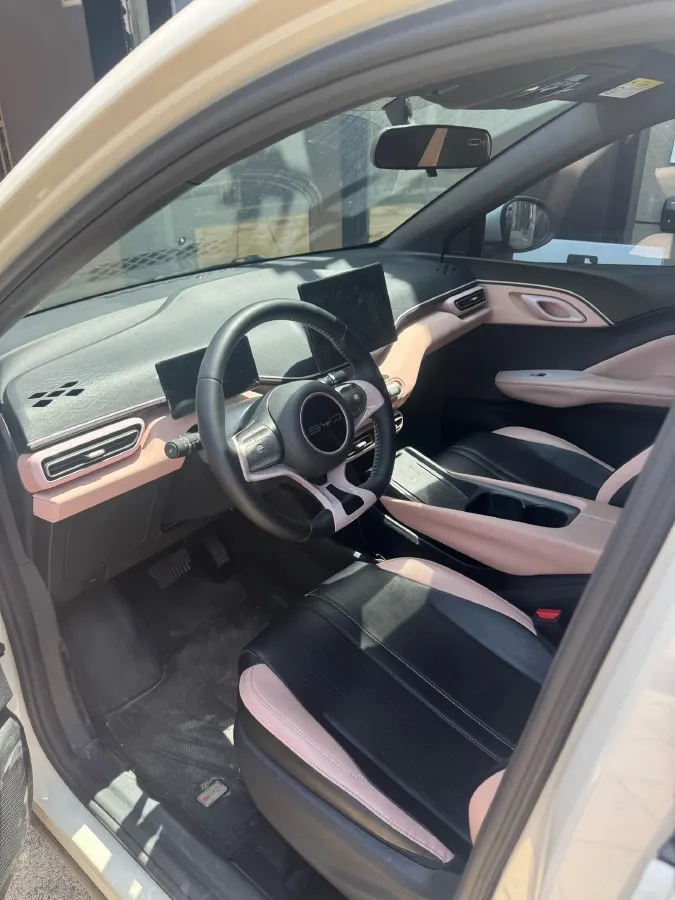 2023 BYD Seagull BEV 30.08KWH,autocango,china used car exporter,china ev exporter,chinese used car exporter,chinese used ev exporter