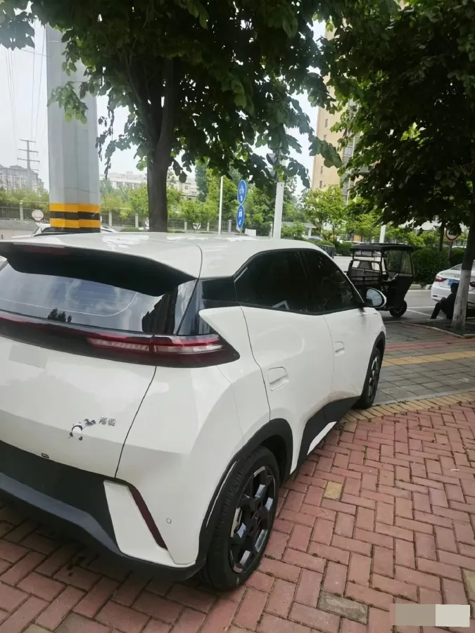 2025 BYD Seagull BEV 30.08KWH,autocango,china used car exporter,china ev exporter,chinese used car exporter,chinese used ev exporter