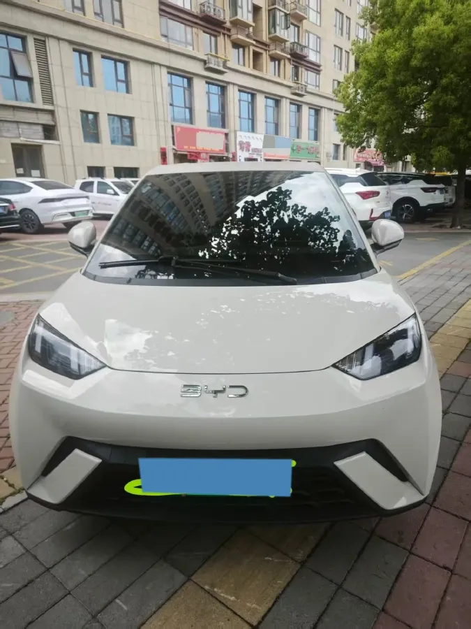 2025 BYD Seagull BEV 30.08KWH,autocango,china used car exporter,china ev exporter,chinese used car exporter,chinese used ev exporter