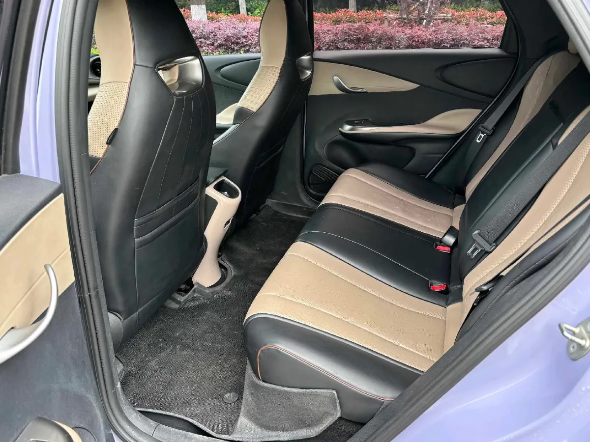 2023 BYD Dolphin BEV 44.928KWH,autocango,china used car exporter,china ev exporter,chinese used car exporter,chinese used ev exporter