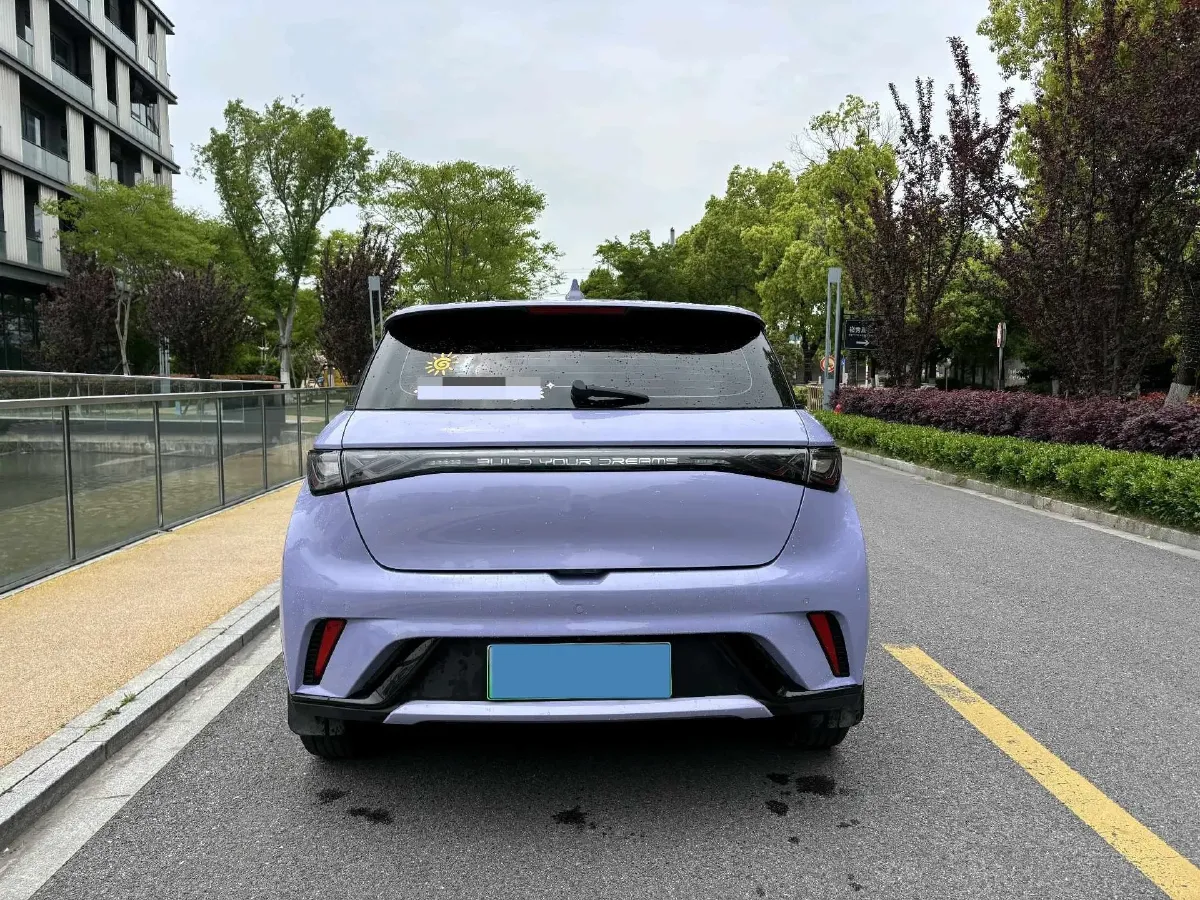 2023 BYD Dolphin BEV 44.928KWH,autocango,china used car exporter,china ev exporter,chinese used car exporter,chinese used ev exporter