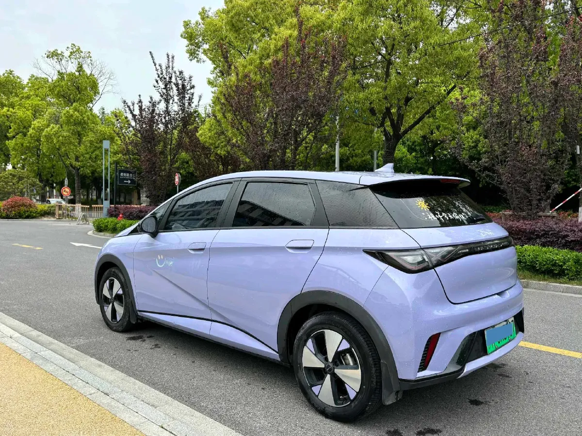 2023 BYD Dolphin BEV 44.928KWH,autocango,china used car exporter,china ev exporter,chinese used car exporter,chinese used ev exporter