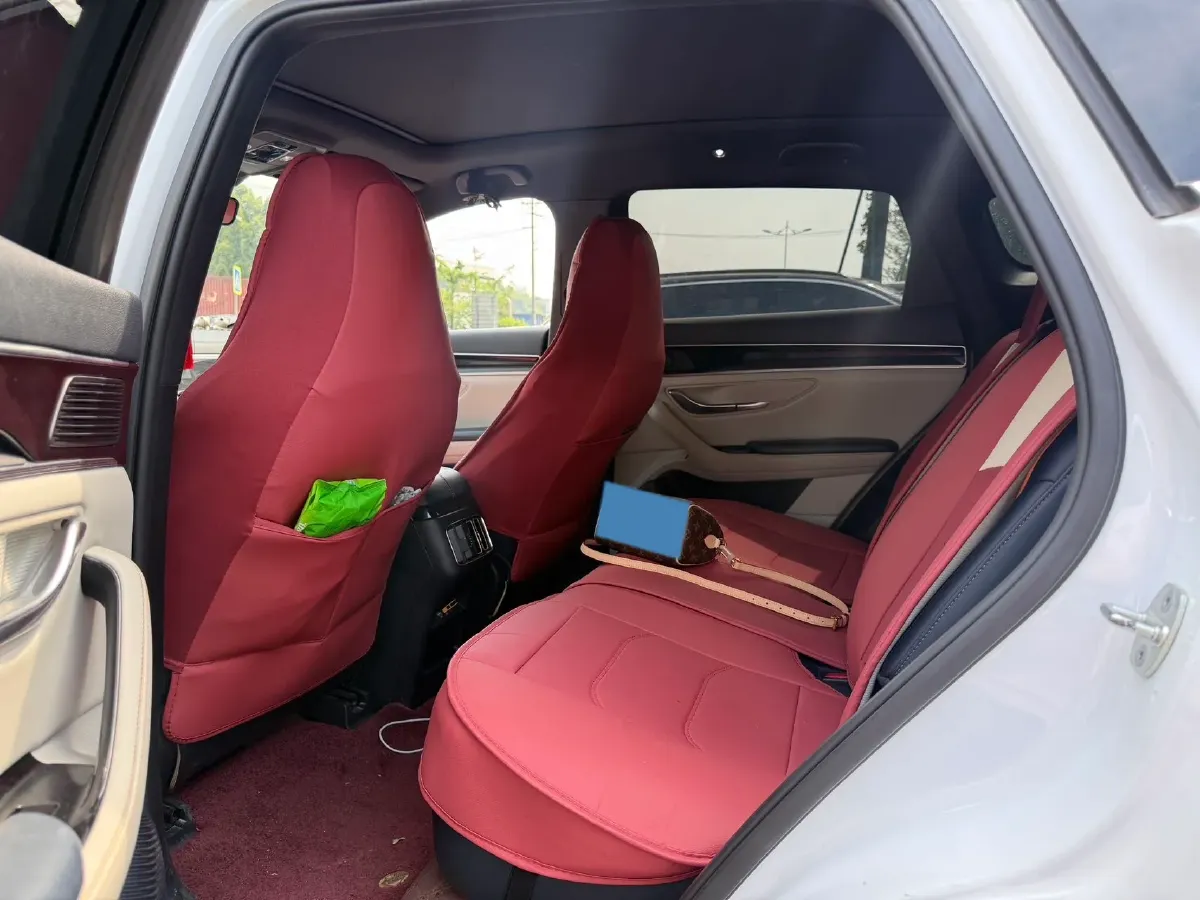 2021 BYD Qin BEV 53.56KWH,autocango,china used car exporter,china ev exporter,chinese used car exporter,chinese used ev exporter