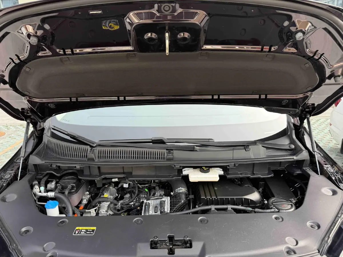 2024 HongQi HQ9 2.0T 163HP L4 1DHT PHEV 20.14KWH,autocango,china used car exporter,china ev exporter,chinese used car exporter,chinese used ev exporter