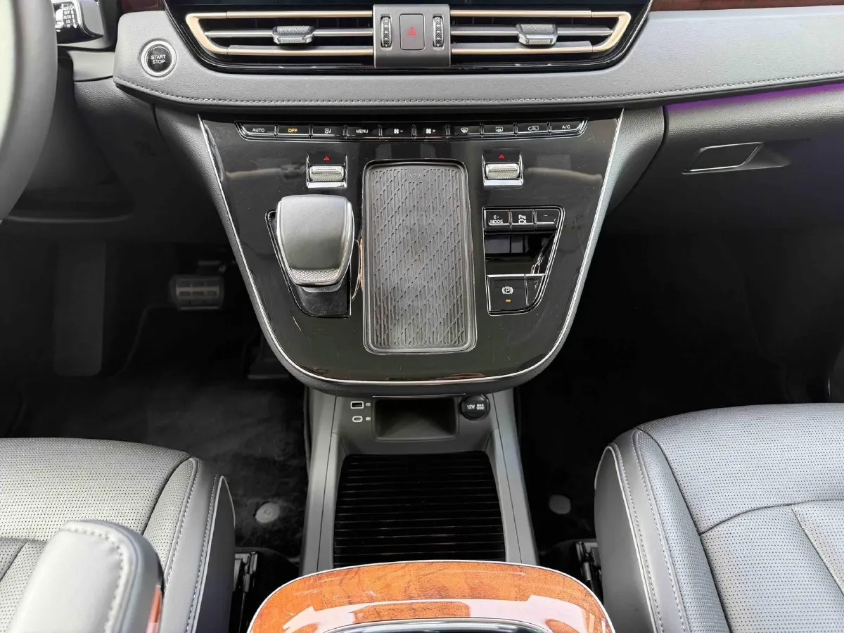 2024 HongQi HQ9 2.0T 163HP L4 1DHT PHEV 20.14KWH,autocango,china used car exporter,china ev exporter,chinese used car exporter,chinese used ev exporter