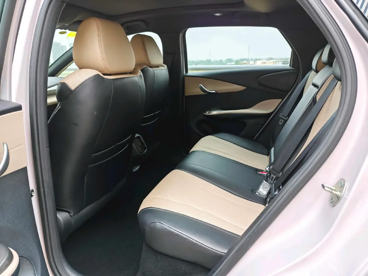 2025 BYD Dolphin BEV 45.12KWH,autocango,china used car exporter,china ev exporter,chinese used car exporter,chinese used ev exporter