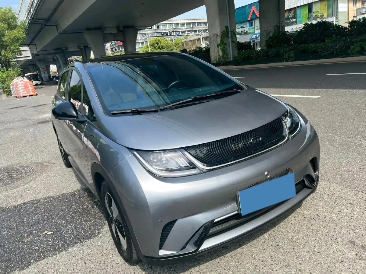 2023 BYD Dolphin BEV 44.928KWH,autocango,china used car exporter,china ev exporter,chinese used car exporter,chinese used ev exporter