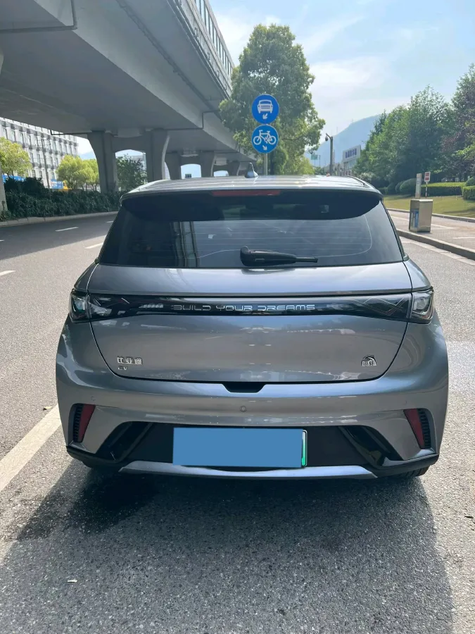 2023 BYD Dolphin BEV 44.928KWH,autocango,china used car exporter,china ev exporter,chinese used car exporter,chinese used ev exporter