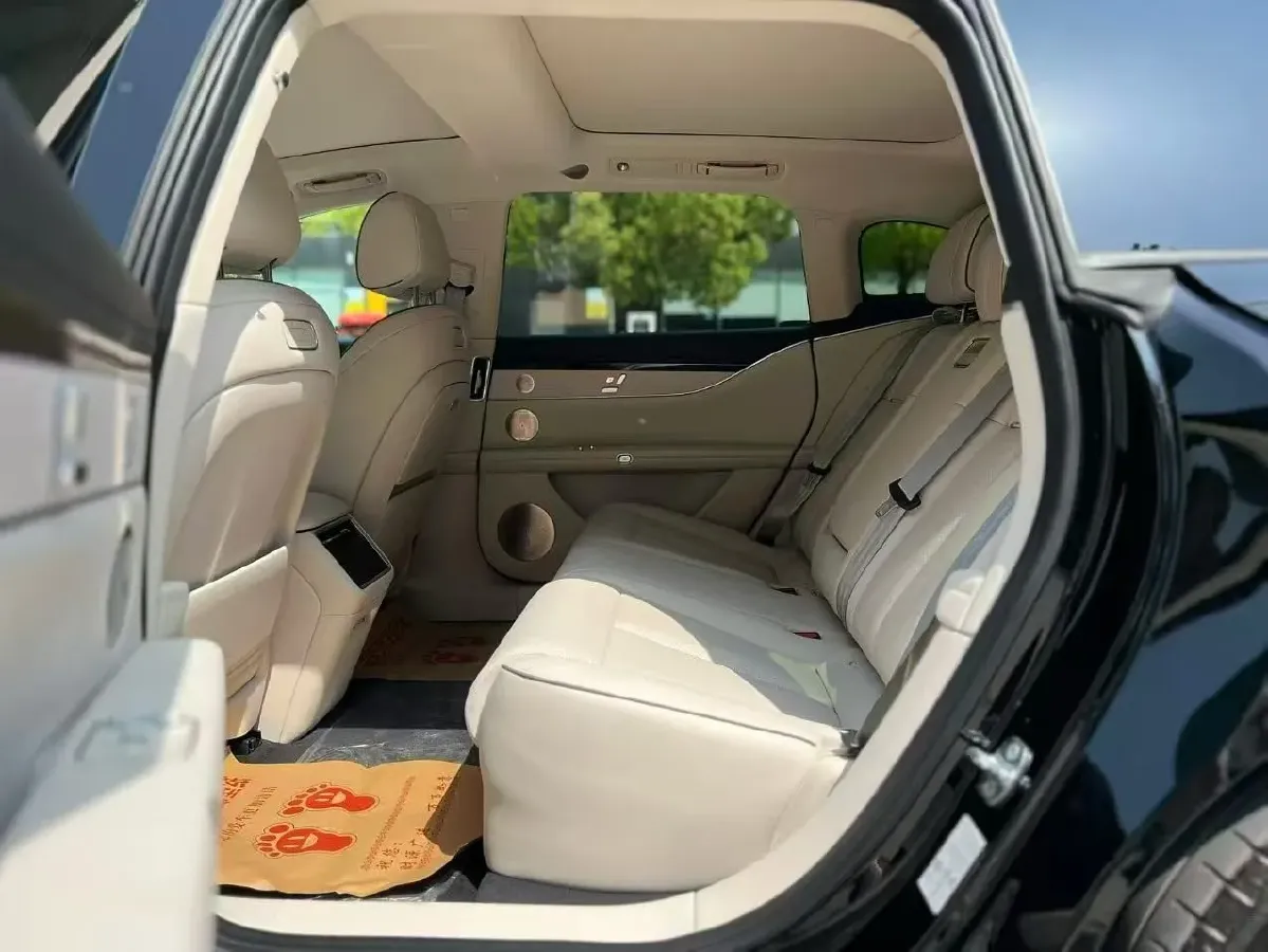 2025 HIMA Stelato S9T REEV 160HP REEV,autocango,china used car exporter,china ev exporter,chinese used car exporter,chinese used ev exporter