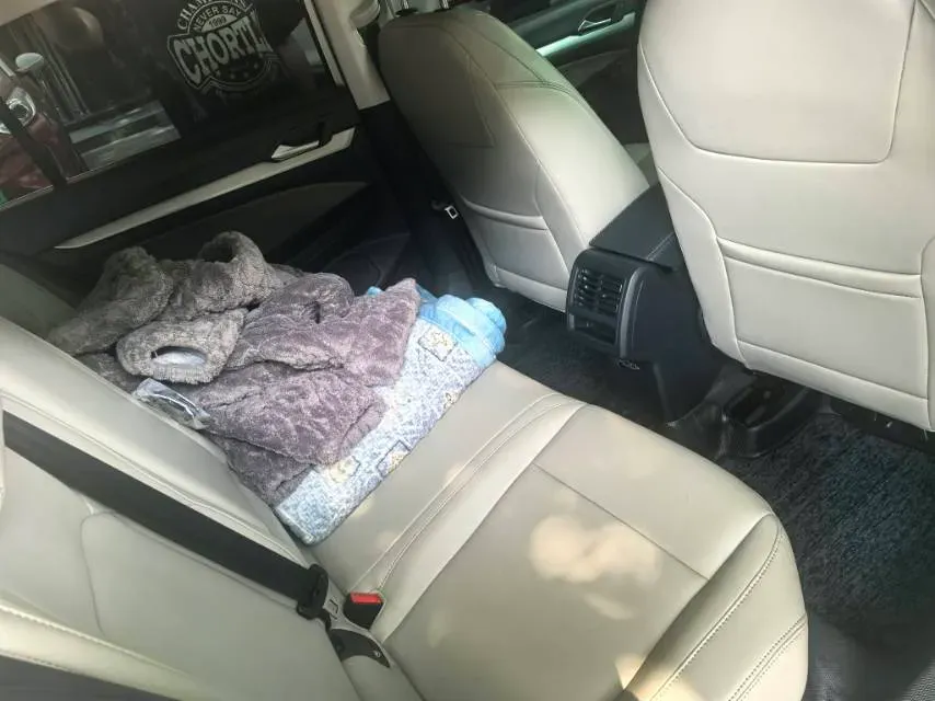 2021 Volkswagen Golf 1.4T 150HP L4 7DCT,autocango,china used car exporter,china ev exporter,chinese used car exporter,chinese used ev exporter