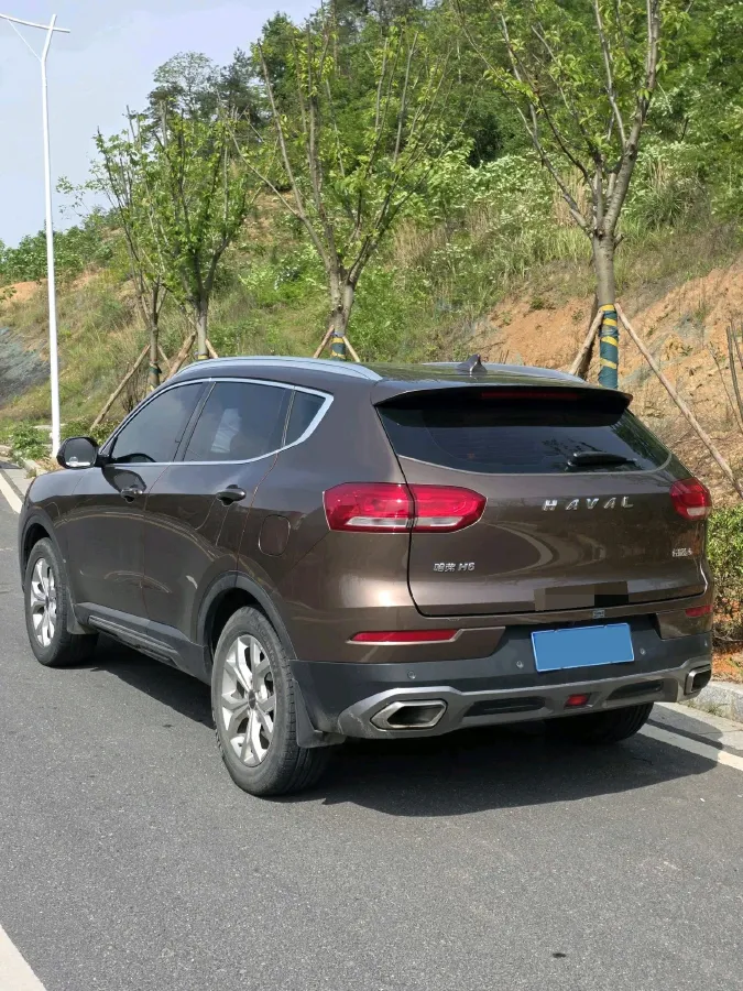 2019 Haval H6 1.5T 169HP L4 7DCT,autocango,china used car exporter,china ev exporter,chinese used car exporter,chinese used ev exporter