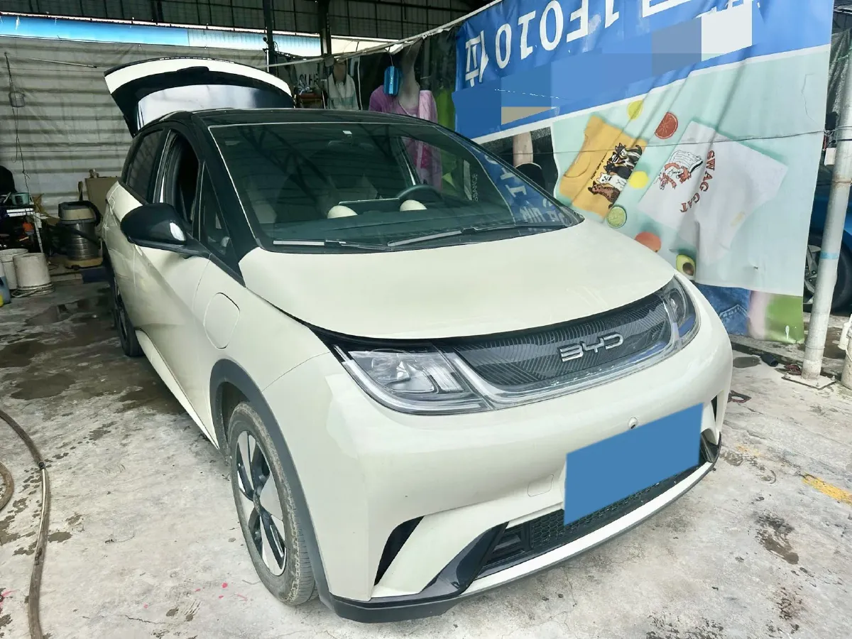 2023 BYD Dolphin BEV 44.928KWH,autocango,china used car exporter,china ev exporter,chinese used car exporter,chinese used ev exporter