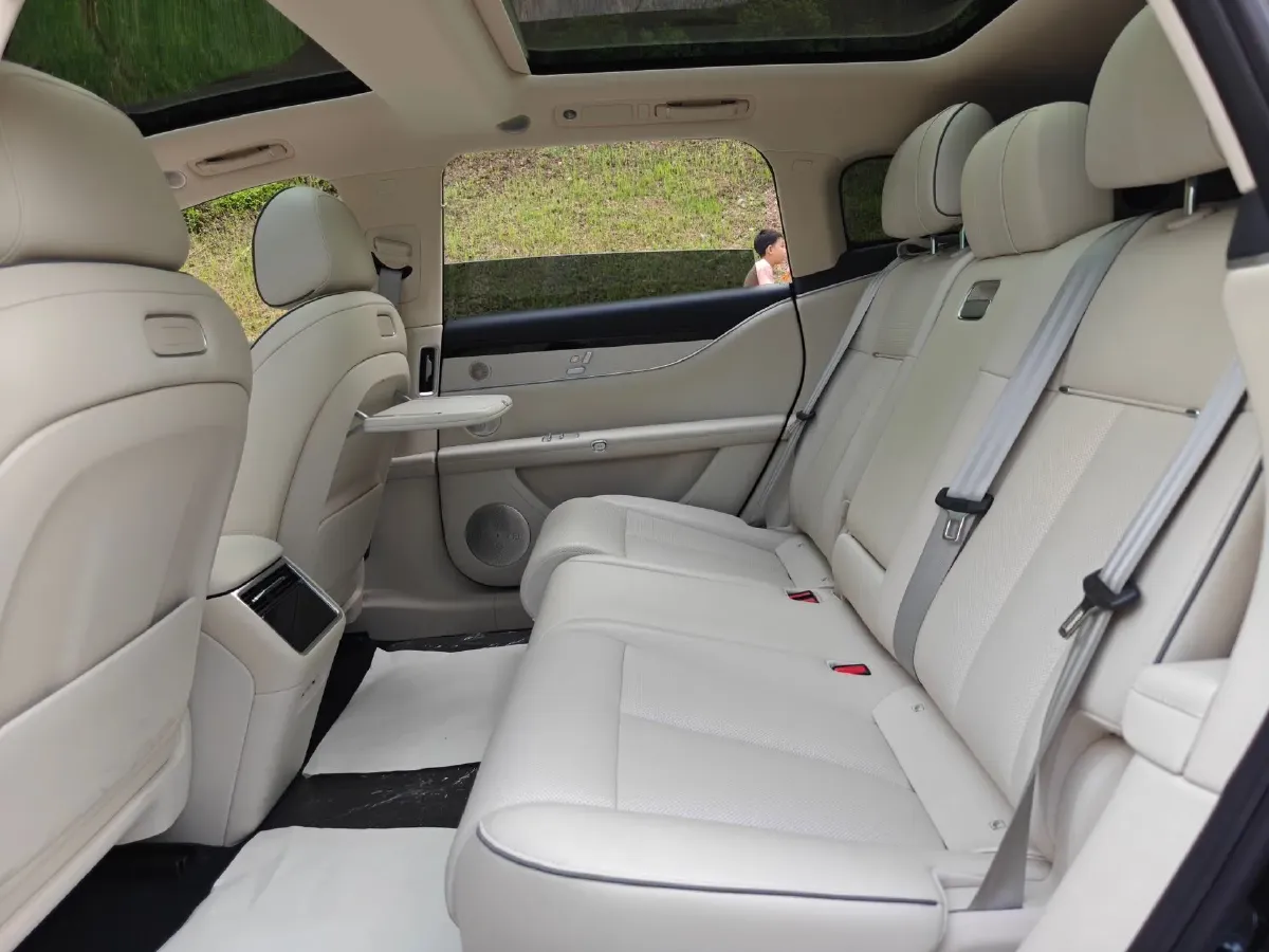 2025 HIMA Stelato S9T REEV 160HP REEV,autocango,china used car exporter,china ev exporter,chinese used car exporter,chinese used ev exporter