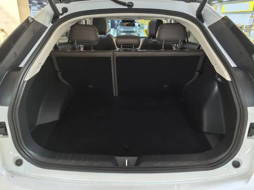 2024 GAC Trumpchi GS4 1.5T 177HP L4 7DCT,autocango,china used car exporter,china ev exporter,chinese used car exporter,chinese used ev exporter