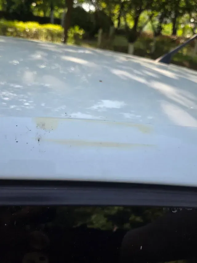 2018 ChangAn Eado 1.6L 128HP L4 6AT,autocango,china used car exporter,china ev exporter,chinese used car exporter,chinese used ev exporter