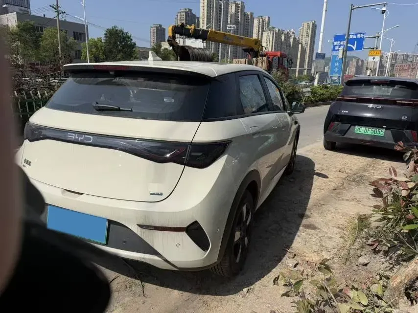 2025 BYD Dolphin BEV 45.12KWH,autocango,china used car exporter,china ev exporter,chinese used car exporter,chinese used ev exporter