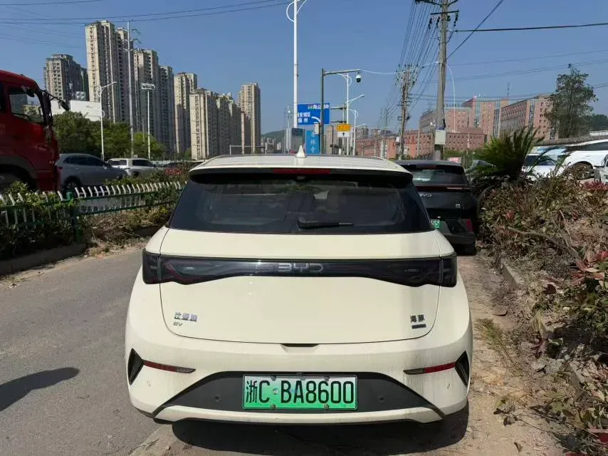 2025 BYD Dolphin BEV 45.12KWH,autocango,china used car exporter,china ev exporter,chinese used car exporter,chinese used ev exporter