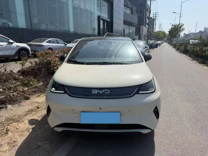 2025 BYD Dolphin BEV 45.12KWH,autocango,china used car exporter,china ev exporter,chinese used car exporter,chinese used ev exporter