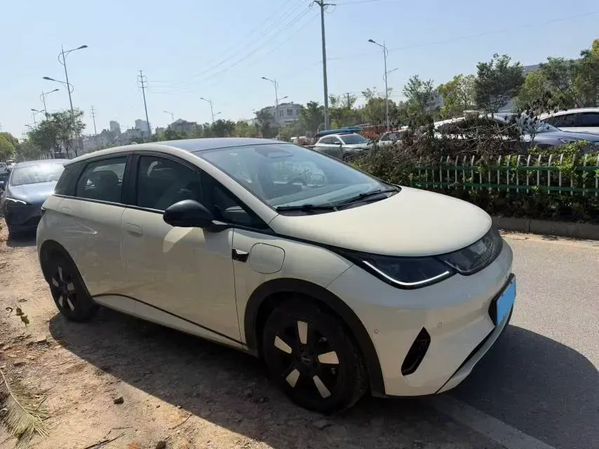 2025 BYD Dolphin BEV 45.12KWH,autocango,china used car exporter,china ev exporter,chinese used car exporter,chinese used ev exporter