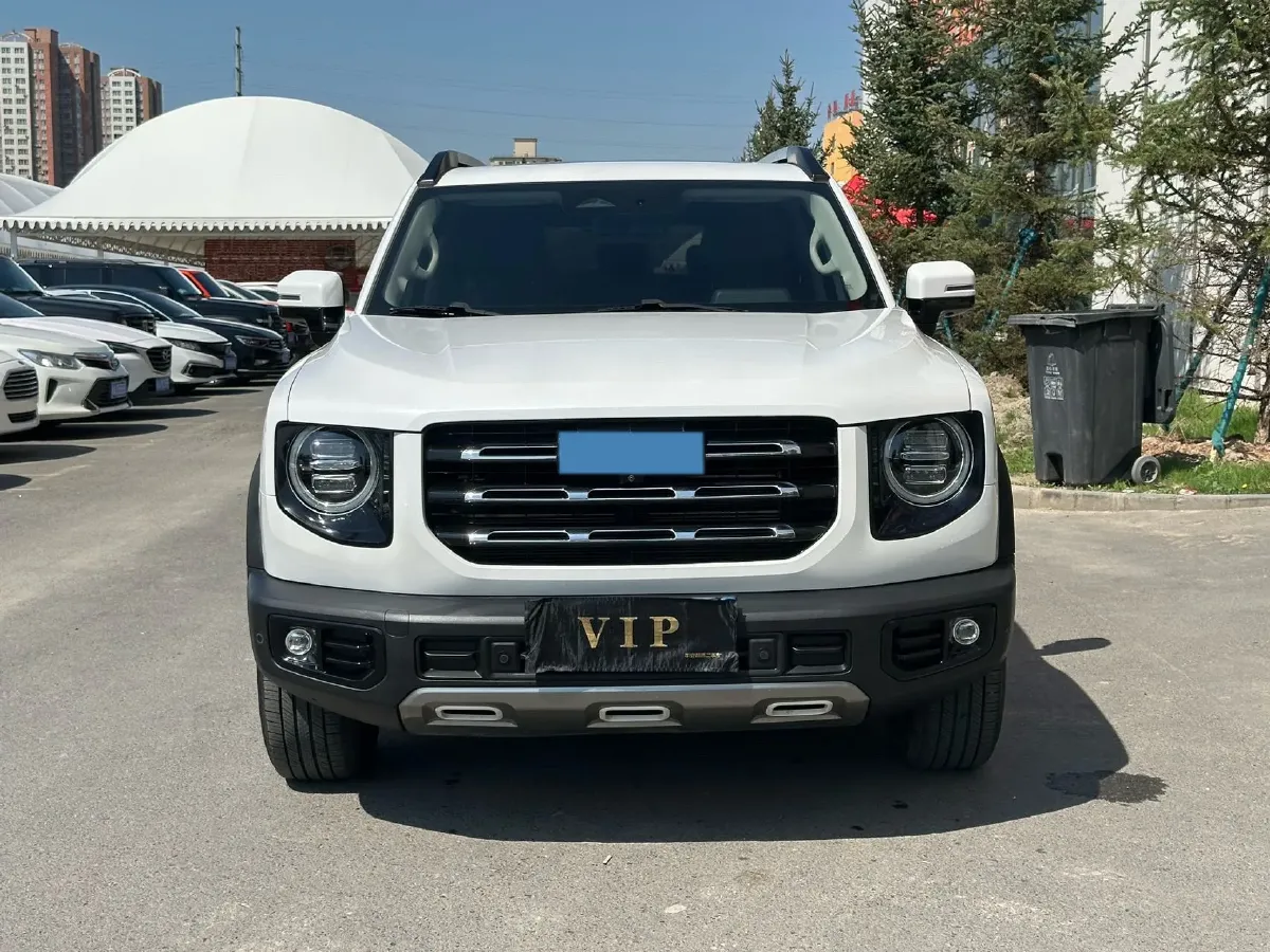 2021 Haval Dargo 2.0T 211HP L4 7DCT,autocango,china used car exporter,china ev exporter,chinese used car exporter,chinese used ev exporter
