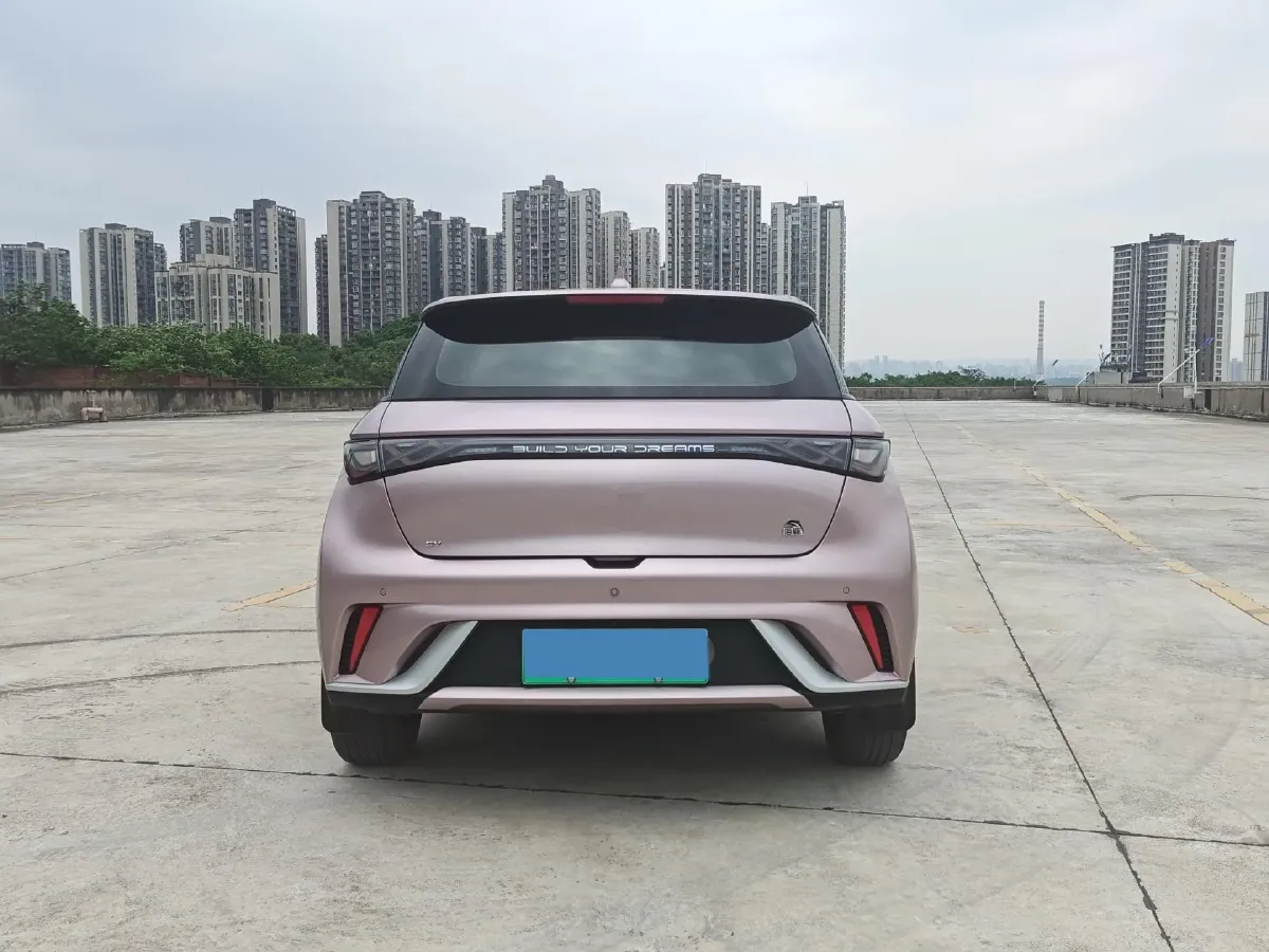 2021 BYD Yuan Pro BEV 50.1KWH,autocango,china used car exporter,china ev exporter,chinese used car exporter,chinese used ev exporter