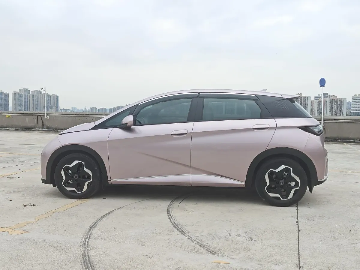 2021 BYD Yuan Pro BEV 50.1KWH,autocango,china used car exporter,china ev exporter,chinese used car exporter,chinese used ev exporter