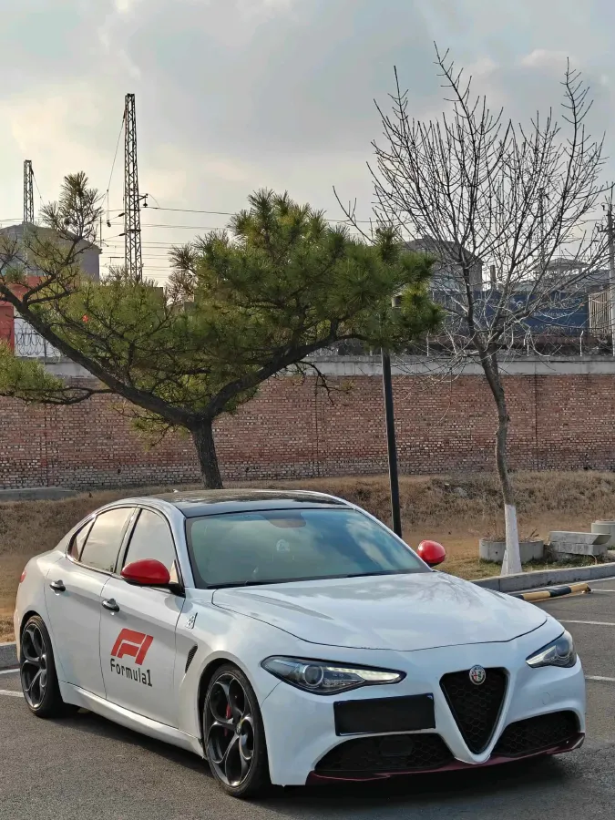 2019 Alfa Romeo Giulia 2.0T 280HP L4 8AT,autocango,china used car exporter,china ev exporter,chinese used car exporter,chinese used ev exporter
