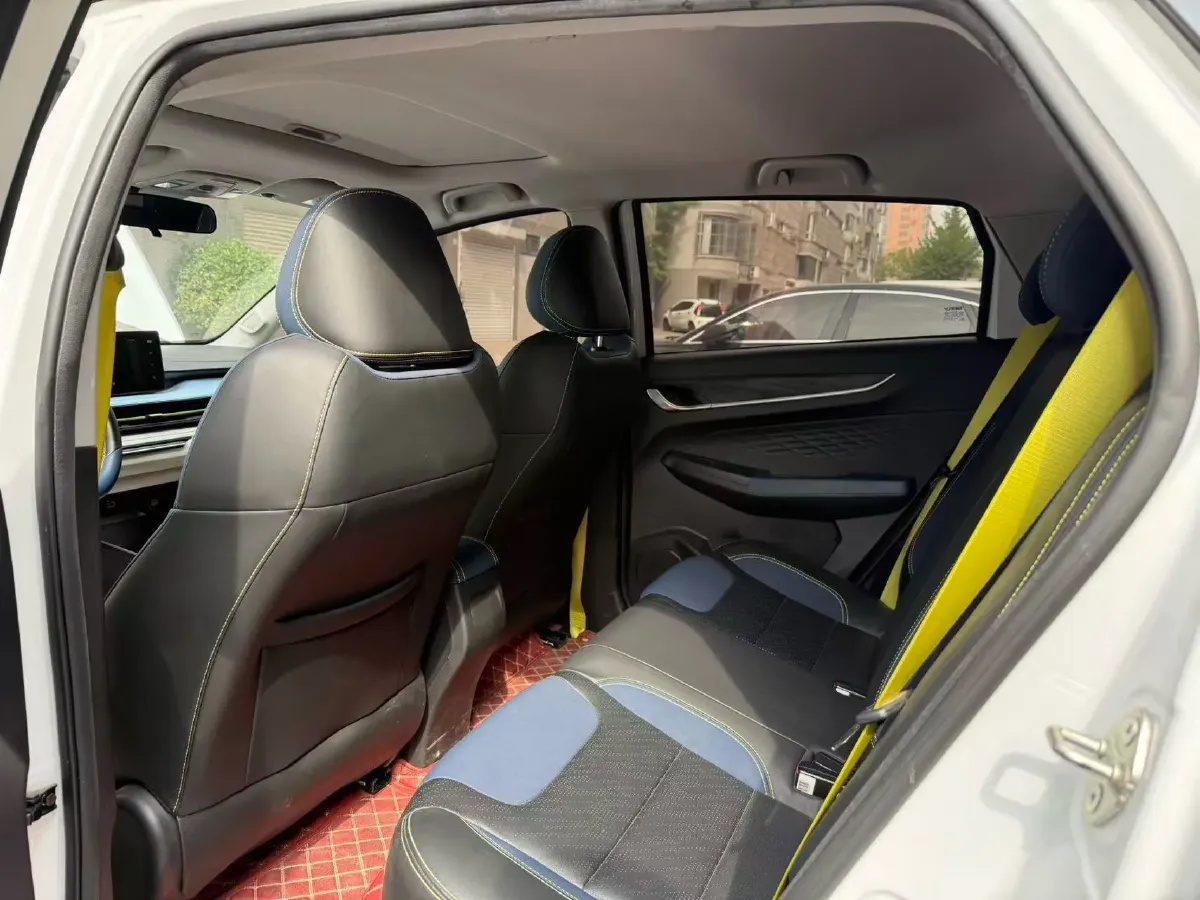 2021 Geometry EX3 BEV 37.23KWH,autocango,china used car exporter,china ev exporter,chinese used car exporter,chinese used ev exporter