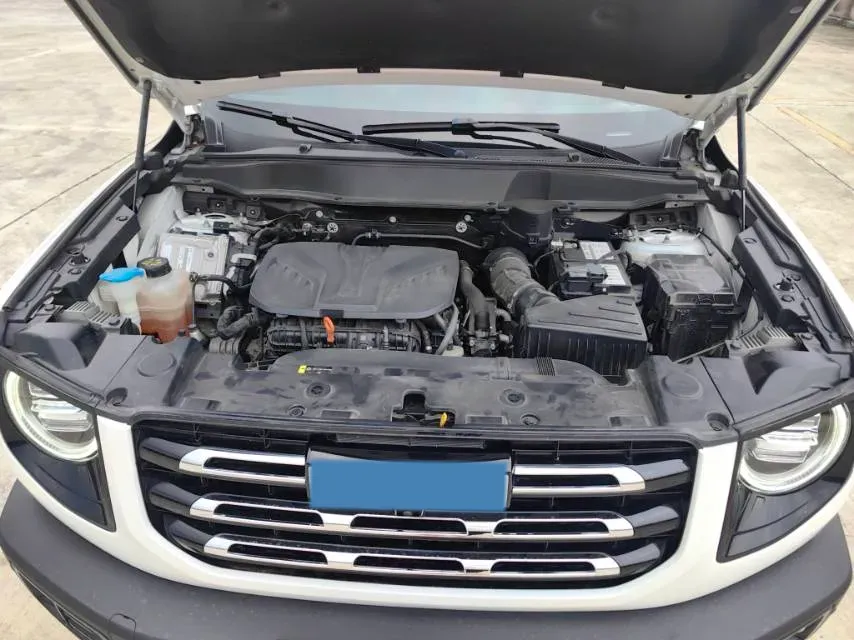2022 Haval Dargo 2.0T 211HP L4 7DCT,autocango,china used car exporter,china ev exporter,chinese used car exporter,chinese used ev exporter