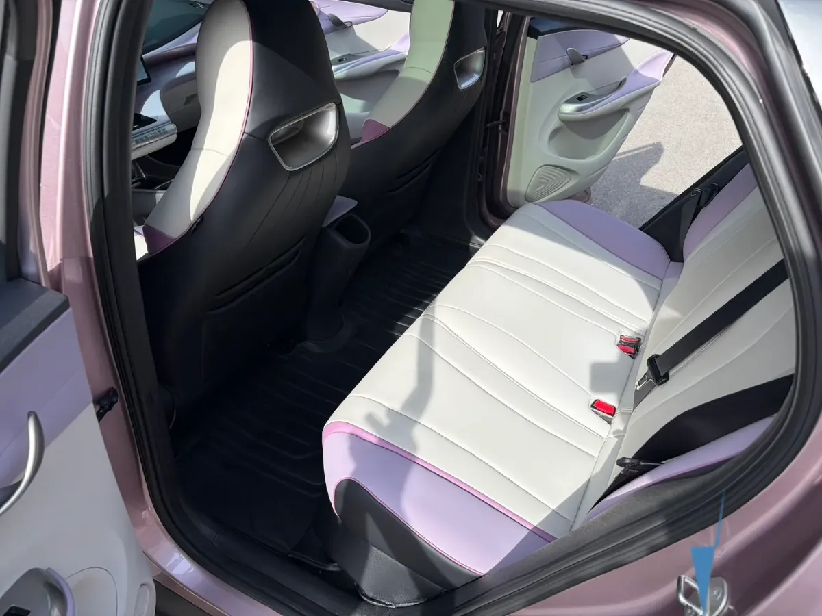 2021 BYD e2 BEV 43.2KWH,autocango,china used car exporter,china ev exporter,chinese used car exporter,chinese used ev exporter