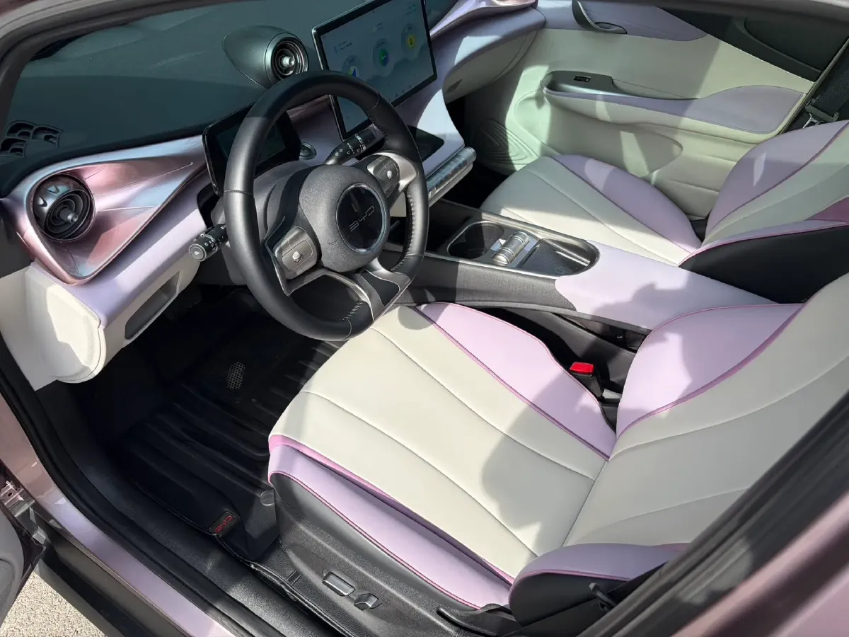 2021 BYD e2 BEV 43.2KWH,autocango,china used car exporter,china ev exporter,chinese used car exporter,chinese used ev exporter