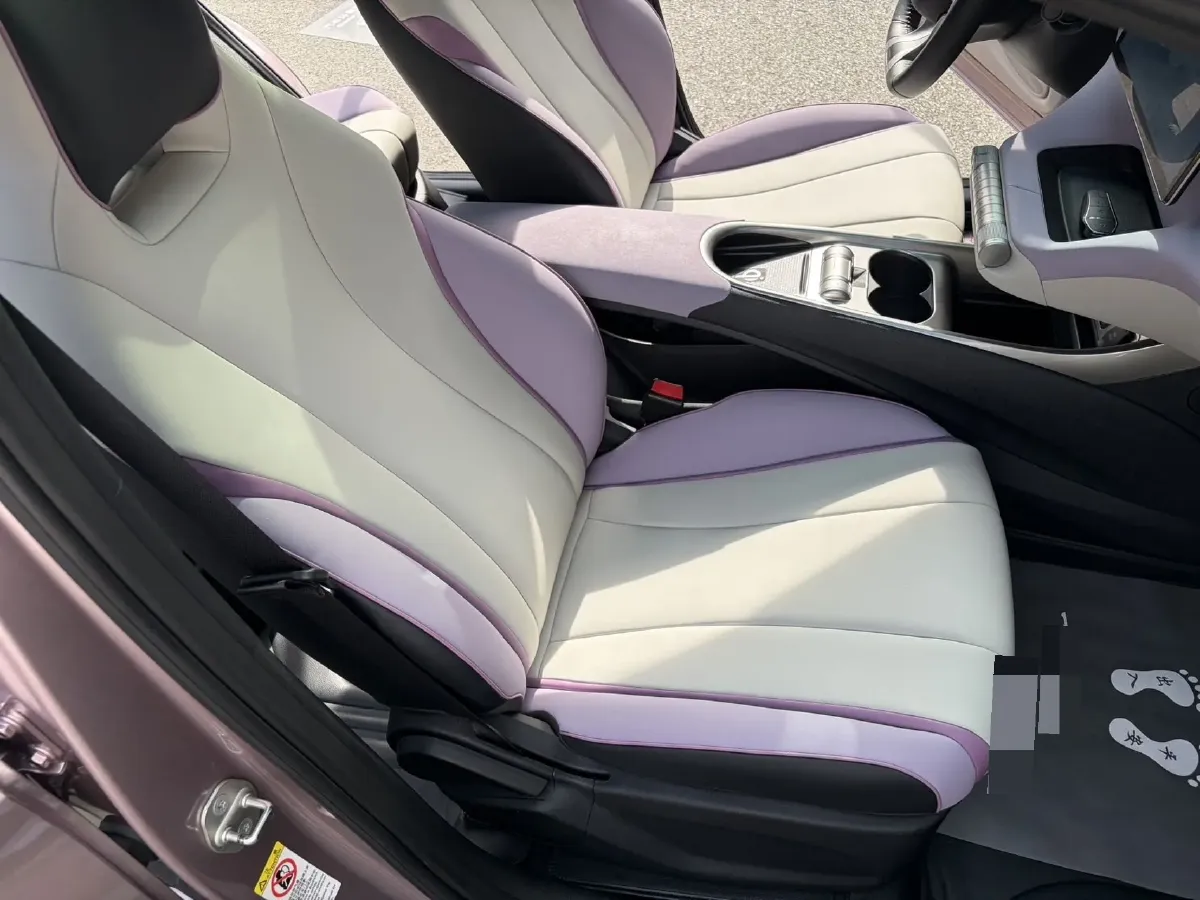 2021 BYD e2 BEV 43.2KWH,autocango,china used car exporter,china ev exporter,chinese used car exporter,chinese used ev exporter