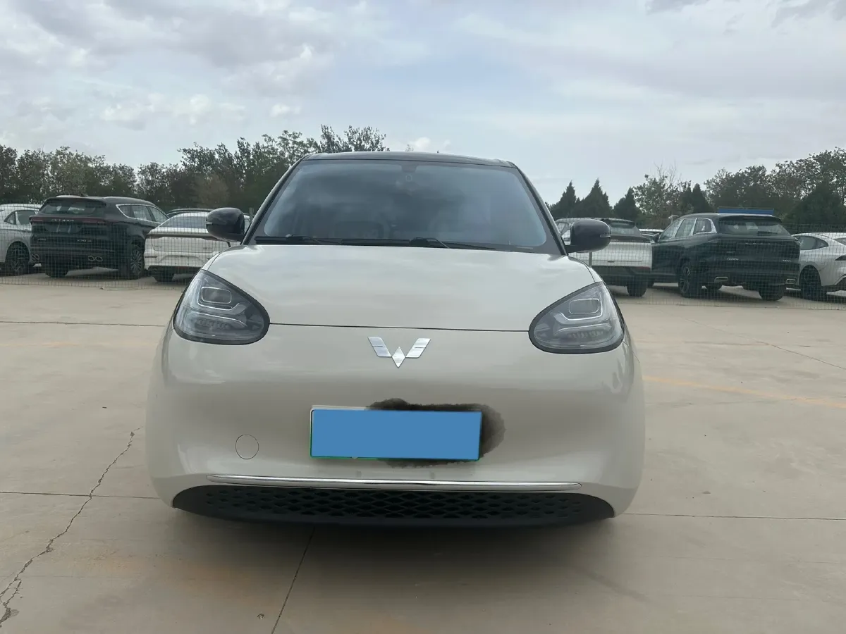 2023 WuLing BinGuo BEV 31.9KWH,autocango,china used car exporter,china ev exporter,chinese used car exporter,chinese used ev exporter