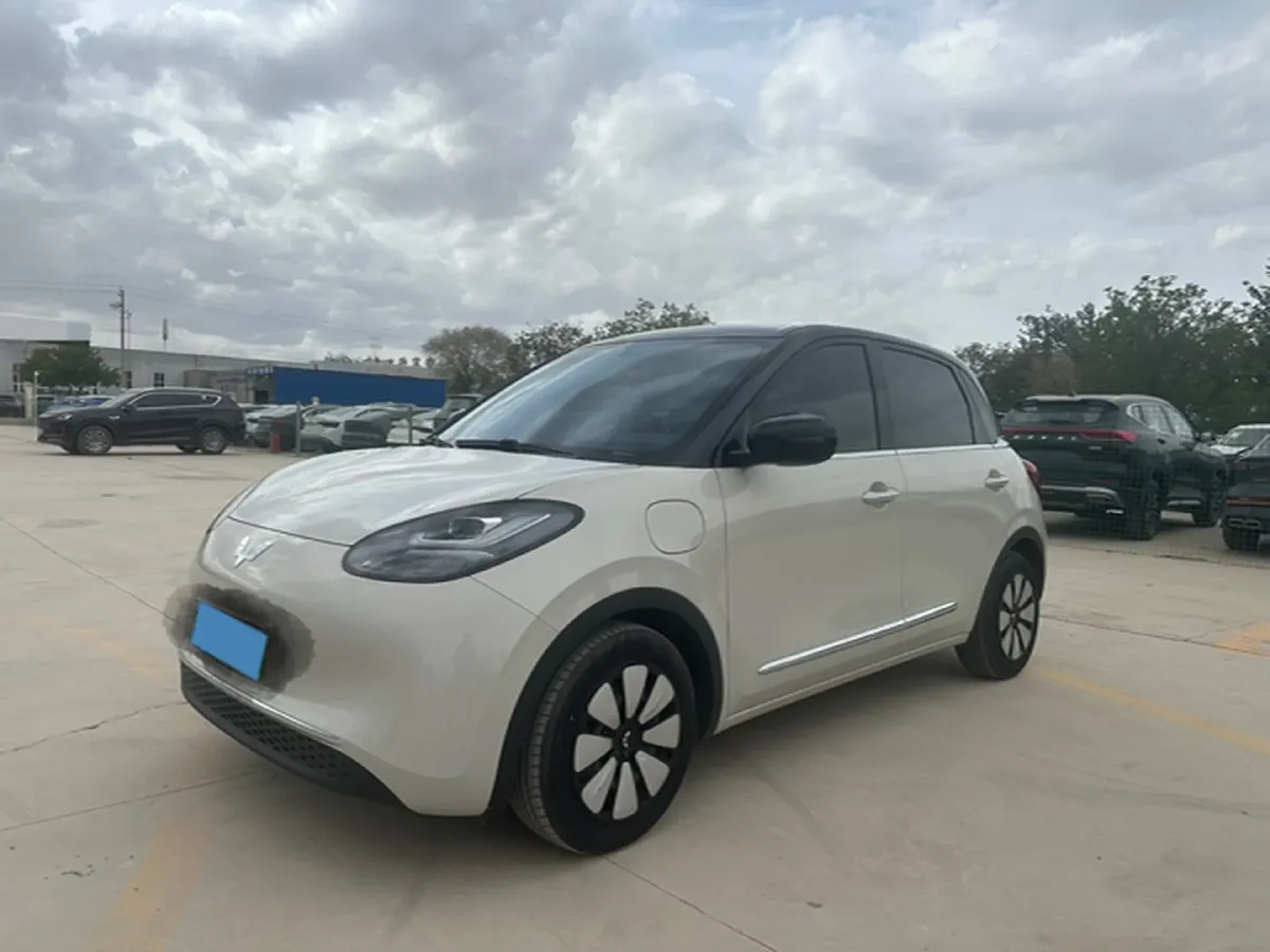 2023 WuLing BinGuo BEV 31.9KWH,autocango,china used car exporter,china ev exporter,chinese used car exporter,chinese used ev exporter