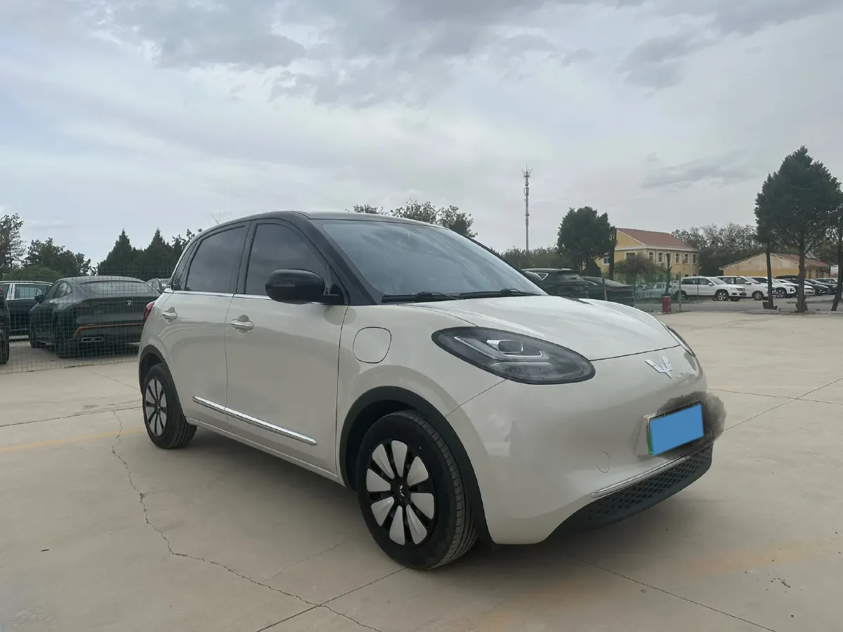 2023 WuLing BinGuo BEV 31.9KWH,autocango,china used car exporter,china ev exporter,chinese used car exporter,chinese used ev exporter