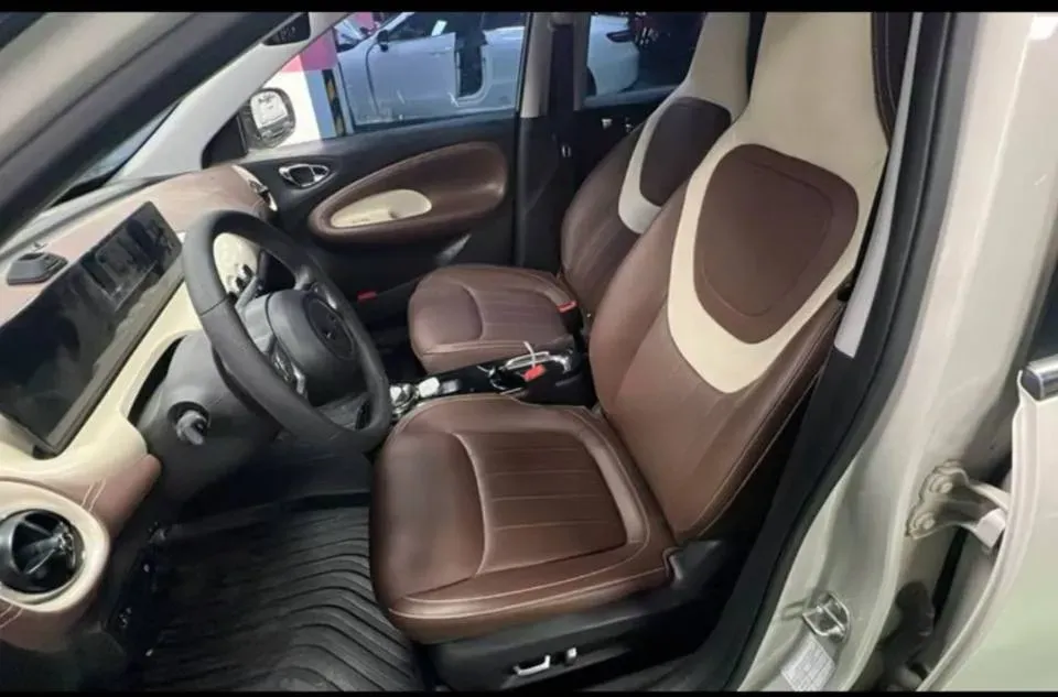 2023 WuLing BinGuo BEV 31.9KWH,autocango,china used car exporter,china ev exporter,chinese used car exporter,chinese used ev exporter