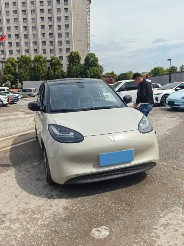 2023 WuLing BinGuo BEV 31.9KWH,autocango,china used car exporter,china ev exporter,chinese used car exporter,chinese used ev exporter