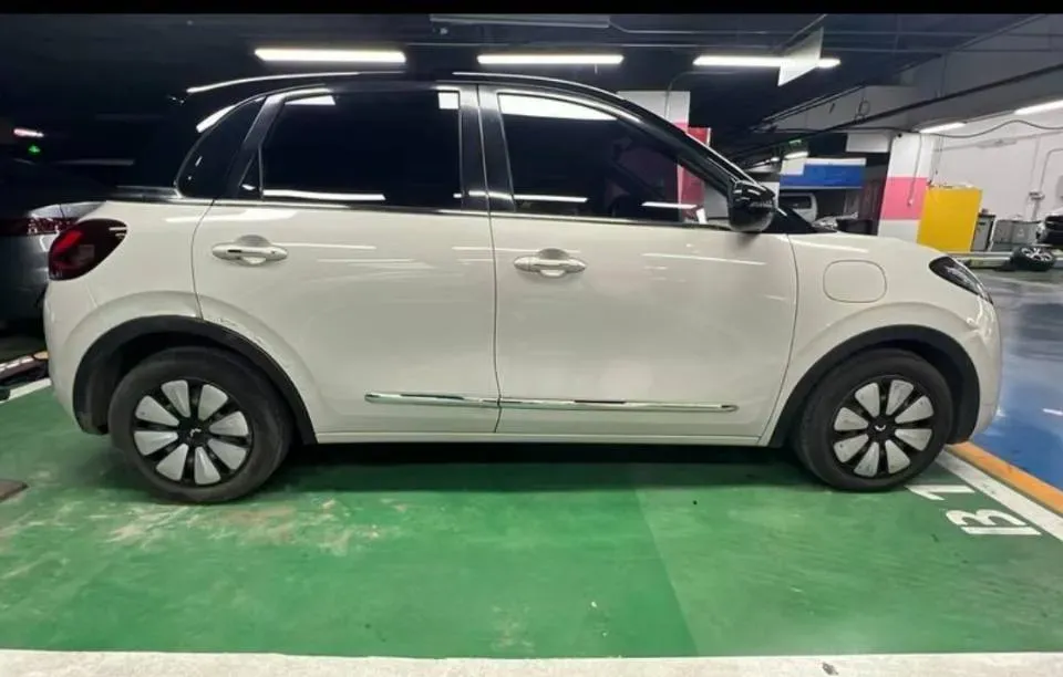 2023 WuLing BinGuo BEV 31.9KWH,autocango,china used car exporter,china ev exporter,chinese used car exporter,chinese used ev exporter