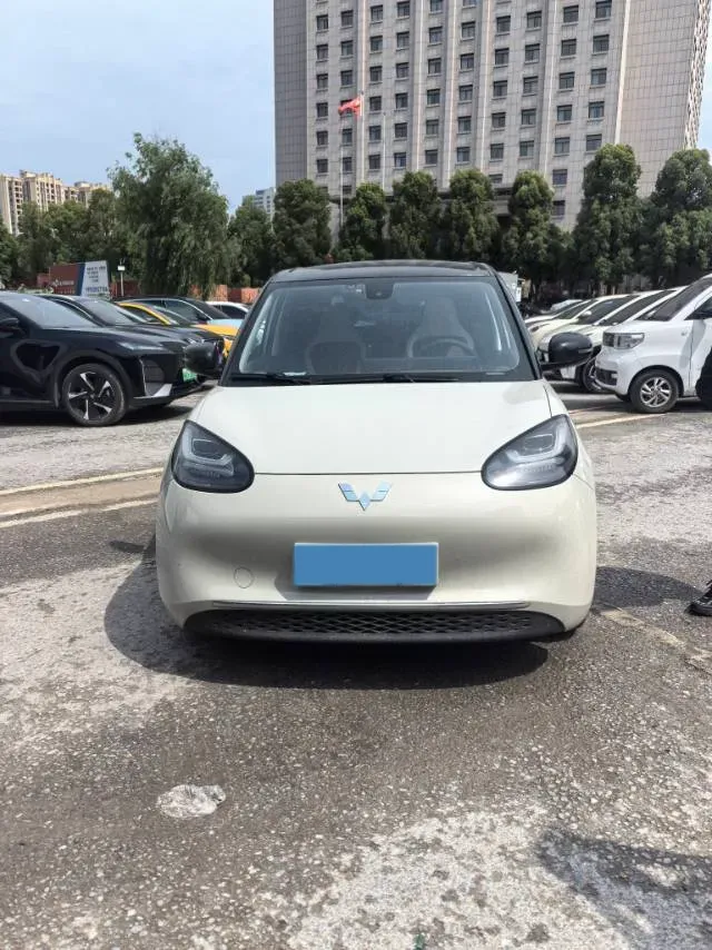 2023 WuLing BinGuo BEV 31.9KWH,autocango,china used car exporter,china ev exporter,chinese used car exporter,chinese used ev exporter