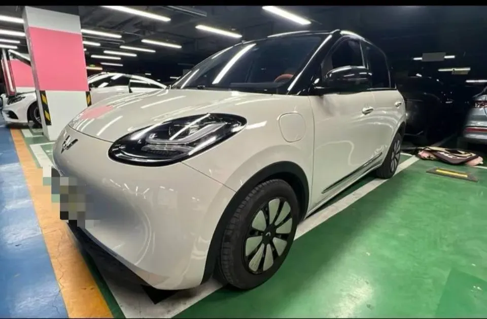 2023 WuLing BinGuo BEV 31.9KWH,autocango,china used car exporter,china ev exporter,chinese used car exporter,chinese used ev exporter