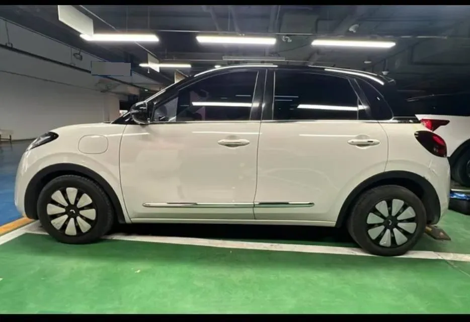 2023 WuLing BinGuo BEV 31.9KWH,autocango,china used car exporter,china ev exporter,chinese used car exporter,chinese used ev exporter