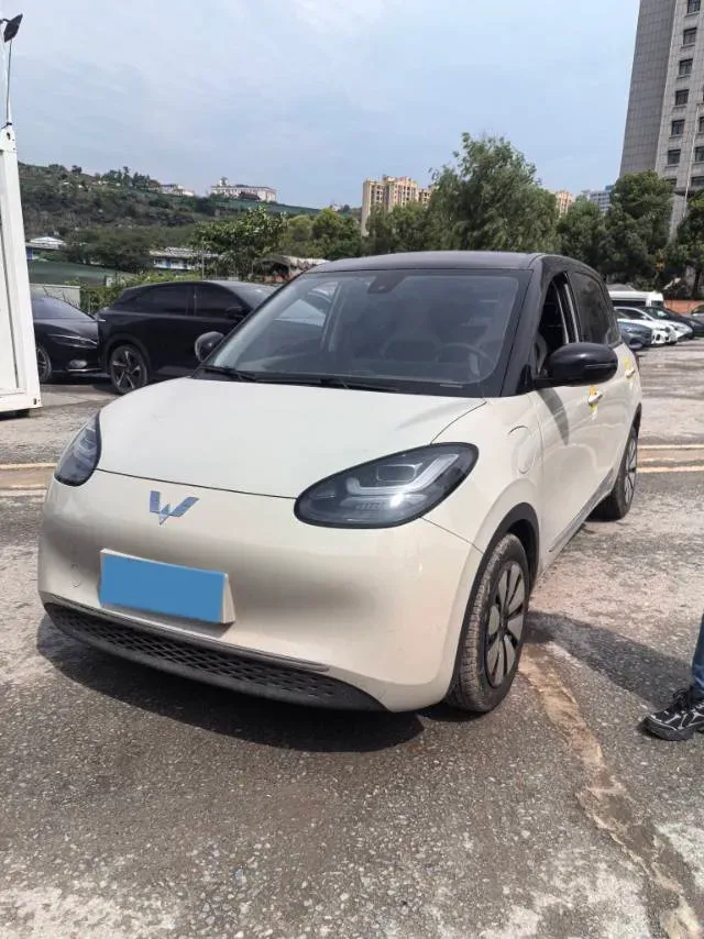 2023 WuLing BinGuo BEV 31.9KWH,autocango,china used car exporter,china ev exporter,chinese used car exporter,chinese used ev exporter