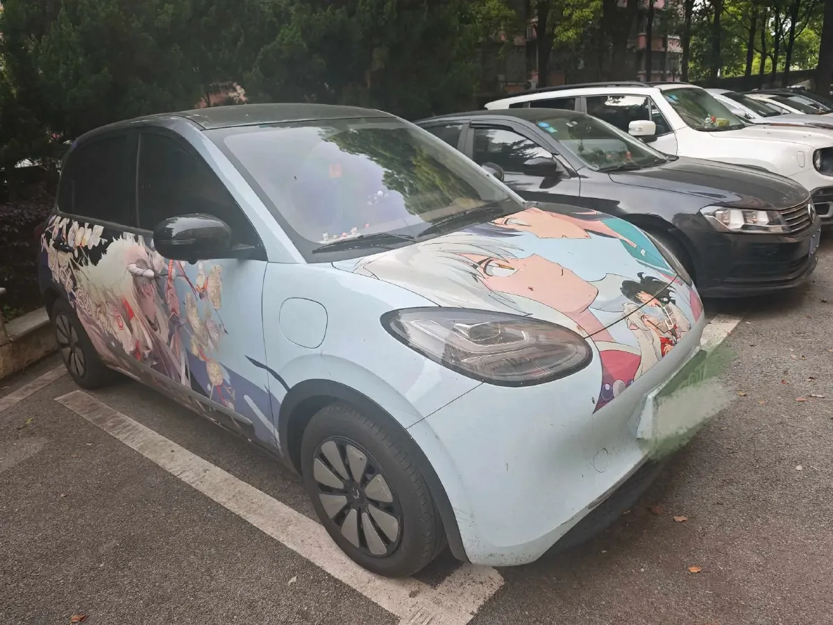 2024 WuLing BinGuo BEV 31.9KWH,autocango,china used car exporter,china ev exporter,chinese used car exporter,chinese used ev exporter